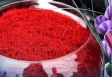 আন্তর্জাতিক অঙ্গনে আবারও বিশ্বসেরা আফগানিস্তানের হেরাতের জাফরান