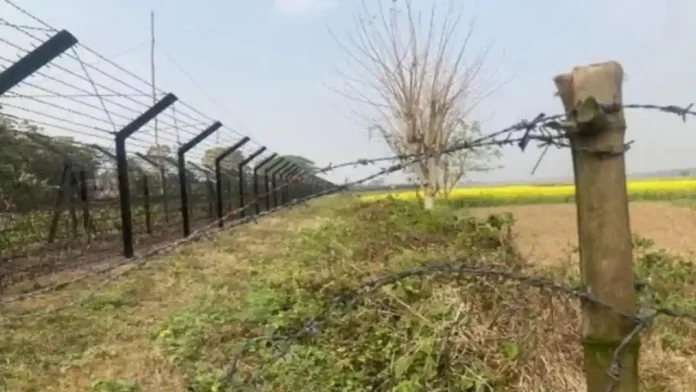 amardesh_chapai_news_pic_MvBvrii copy