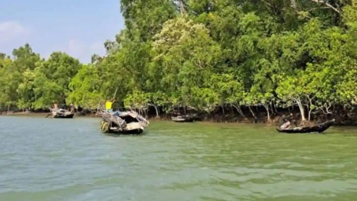 amardesh_shamnagar_news_pic_hZrDx0i copy