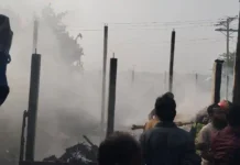নারায়ণগঞ্জের আড়াইহাজারে তুলার কারখানায় আগুনে পুড়ে ১০ লাখ টাকার ক্ষতি