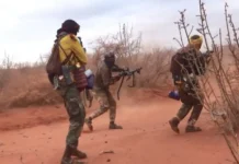 কেনিয়ায় শাবাবের অভিযানে সরবরাহ ডিপো ধ্বংস: ২ শত্রু সেনা নিহত