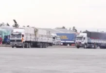 ২০২৫ সালে আফগানিস্তান থেকে ৩ লাখ টনেরও বেশি তাজা ফল রপ্তানি