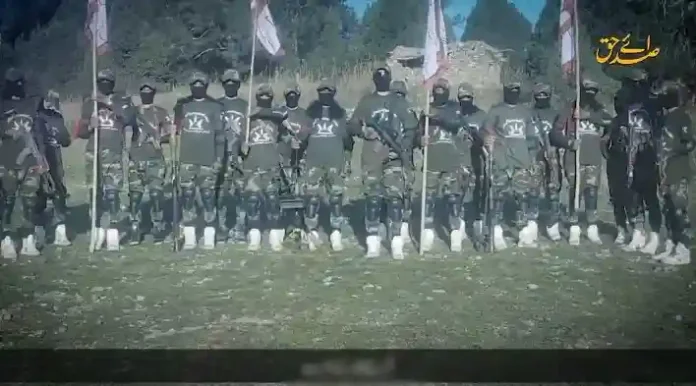 2026-02-18_122026 copy