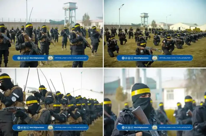 2026-02-18_222533 copy