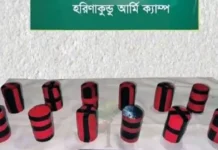 ঝিনাইদহে যৌথবাহিনীর অভিযানে ১২ ককটেল উদ্ধার