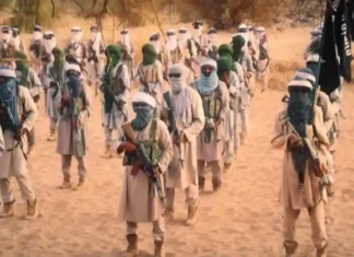 নাইজার: জেএনআইএম মুজাহিদদের নিয়ন্ত্রণে শত্রু সামরিক পোস্ট