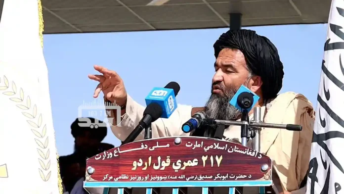 RFQ5UaYK6cnpKBHm copy