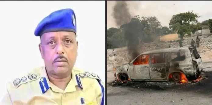 SD3iZvbFXNjYGt2NLMyO_21_e67aa476ca84d474e4c9cf495ed5e2e6_image_original copy