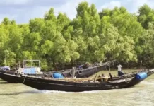 সুন্দরবনে দস্যুদের দৌরাত্ম্য: আতঙ্কে মাছ ধরা বন্ধ, তৎপরতা নেই প্রশাসনের