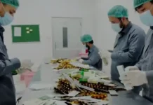 বালখ প্রদেশে ওষুধ শিল্পে সম্প্রসারণ, স্বনির্ভরতার পথে ইমারাতে ইসলামিয়া আফগানিস্তান