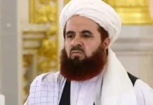 কাবুল–মস্কো দ্বিপাক্ষিক বাণিজ্য সম্প্রসারণে নতুন সম্ভাবনা