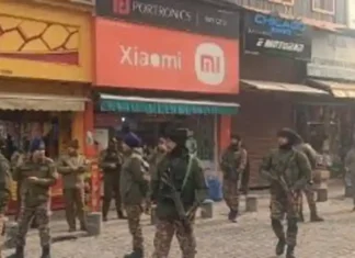 অধিকৃত জম্মু-কাশ্মীরের শ্রীনগর শহরে ভারতীয় দখলদার বাহিনীর হঠাৎ তল্লাশি, বিপাকে শহরবাসী
