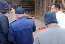 মেহেরপুরে প্রবাসীর বাড়িতে ককটেল পাঠিয়ে চিরকুট, বিকাশে দেড় লাখ চাঁদা দাবি