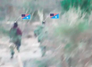 সোমালিয়ার বারসাঙ্গুনিতে আশ-শাবাবের অভিযানে পশ্চিমা ২ সামরিক অফিসার নিহত