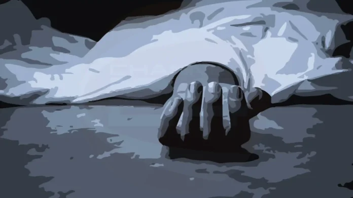 1111las-1768157373-copy-1392x781