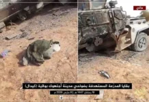 মালিতে জান্তা ও রাশিয়ান সেনা কনভয়ে জেএনআইএম এর হামলা: নিহত ৬ রাশিয়ান ভাড়াটে