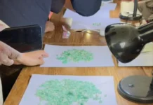 স্বচ্ছ নিলাম প্রক্রিয়ায় ২,৬৩৯ ক্যারেট পান্না বিক্রয় করল ইমারাতে ইসলামিয়া প্রশাসন