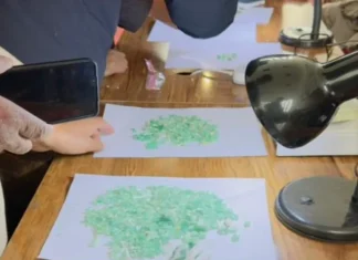 স্বচ্ছ নিলাম প্রক্রিয়ায় ২,৬৩৯ ক্যারেট পান্না বিক্রয় করল ইমারাতে ইসলামিয়া প্রশাসন