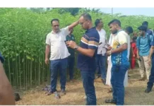রাজবাড়ীতে পাটক্ষেত থেকে কলেজ ছাত্রের লাশ উদ্ধার