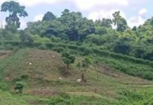 বান্দরবানের মিয়ানমার সীমান্তে স্থলমাইন বিস্ফোরণে রোহিঙ্গা যুবক নিহত