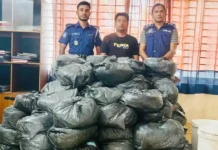 হবিগঞ্জের মাধবপুরে ৫ মন ভারতীয় গাঁজাসহ রিপন দাস গ্রেপ্তার
