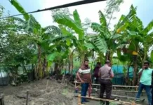 খুলনায় স্বামী ঝগড়া করায় পাঁচ মাস আগে একজনের লাশ গুমের কথা পুলিশকে জানিয়ে দিল স্ত্রী