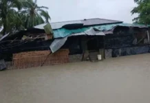 কক্সবাজারের পেকুয়ায় বন্যার পানিতে তলিয়ে গেছে বিস্তীর্ণ এলাকা, পানিবন্দি ২০ হাজার মানুষ