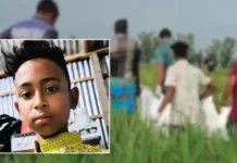 বগুড়ায় ছিনতাই দেখে ফেলায় শিশুকে হত্যা, ধানক্ষেতে মিললো মাটিচাপা লাশ