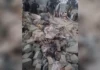 পাকিস্তানি সন্ত্রাসী সেনাবাহিনীর বর্বর বিমান হামলায় আফগানিস্তানের কুনারে নারী ও শিশুসহ একই পরিবারের তিনজন শহীদ