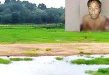 ফেনী সীমান্তে নিজ জমিতে কাজ করার সময় বিএসএফের গুলিতে বাংলাদেশি কৃষক গুলিবিদ্ধ